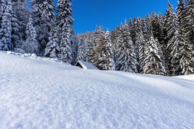 Tech-Free Retreats